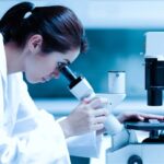 Humans may have evolved a spring-like arch to enable upright bipedal locomotion