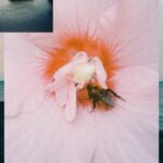 20 Best New Websites, May 2024