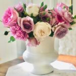 organic roses part two